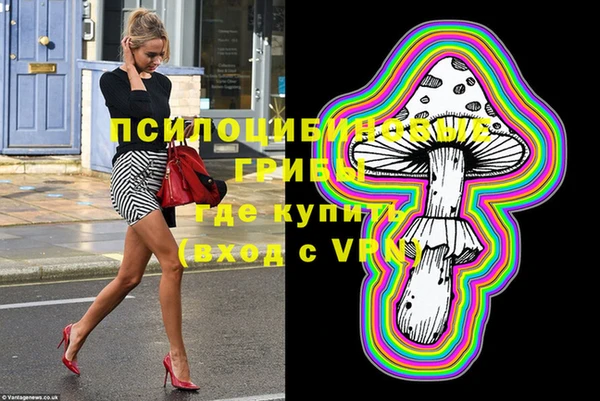 кокс Баксан