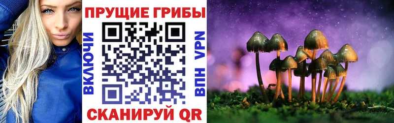Псилоцибиновые грибы Psilocybe Крымск